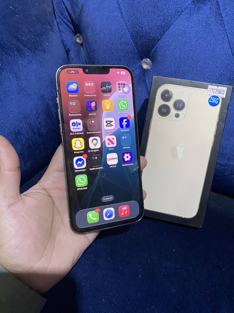 Apple iPhone 13 Pro Max 3
