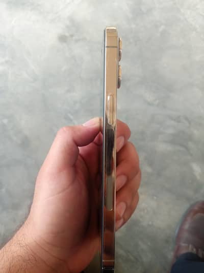 Apple iPhone 12 Pro Max