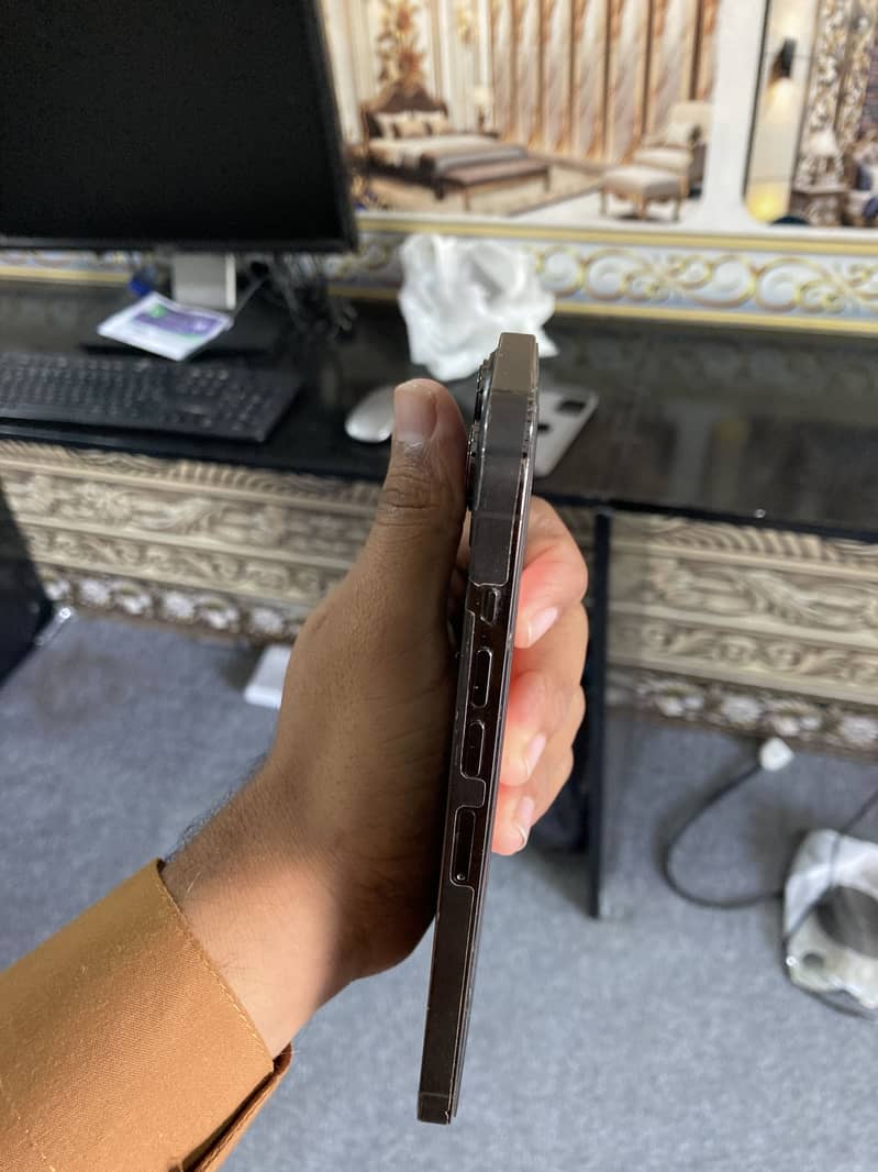 Apple iPhone 13 Pro Max 1