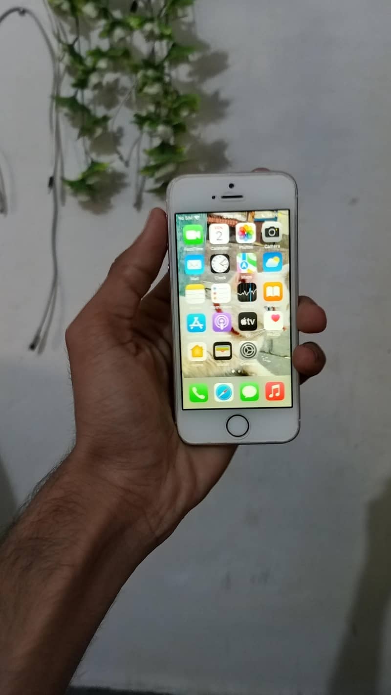 Apple iPhone SE 1