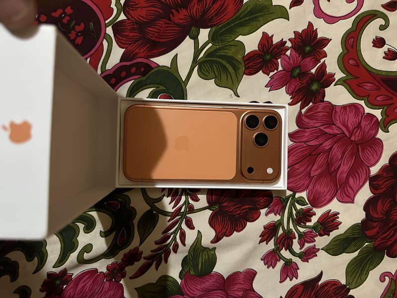 Apple iPhone 17 Pro Max 1