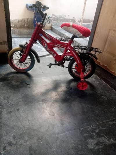 Important bicycle good condition with side wheel