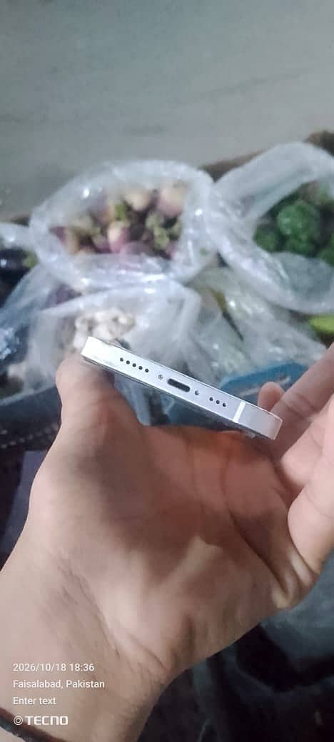 Apple iPhone 12 1