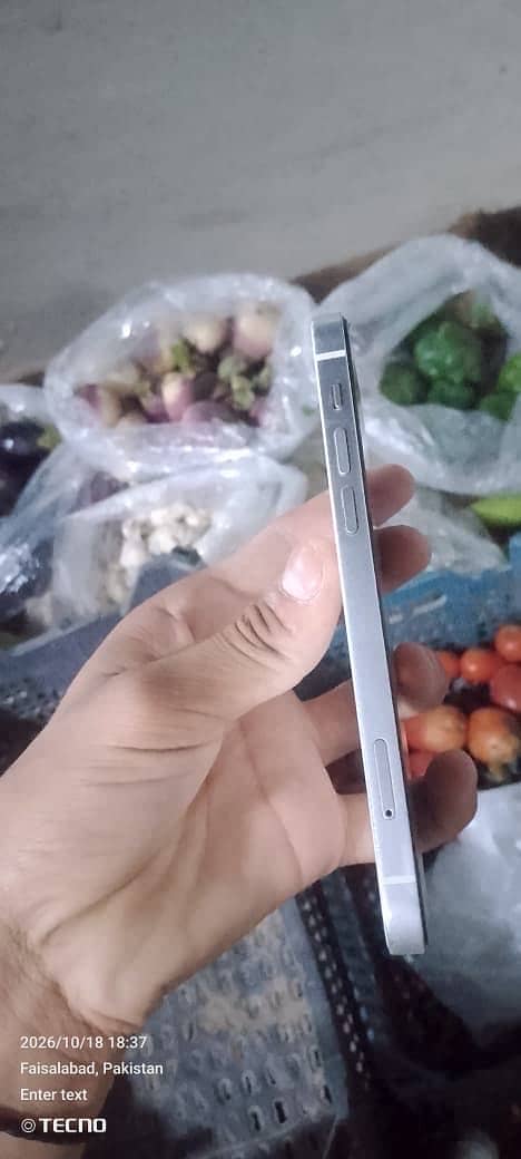 Apple iPhone 12 5