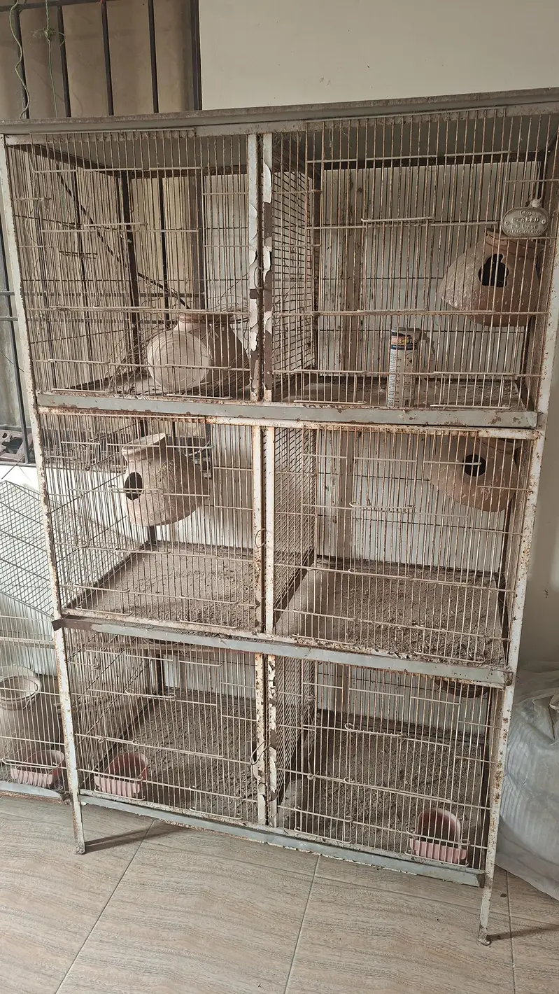 Birds cages — photo 4