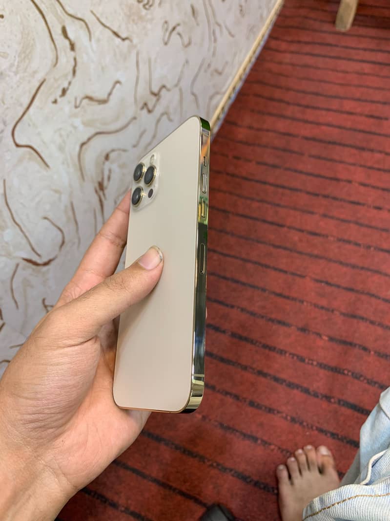 Apple iPhone 12 Pro Max 2