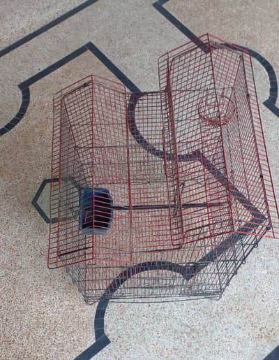 a bird or parrot cage