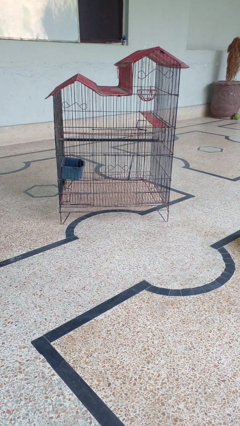 a bird or parrot cage — photo 2