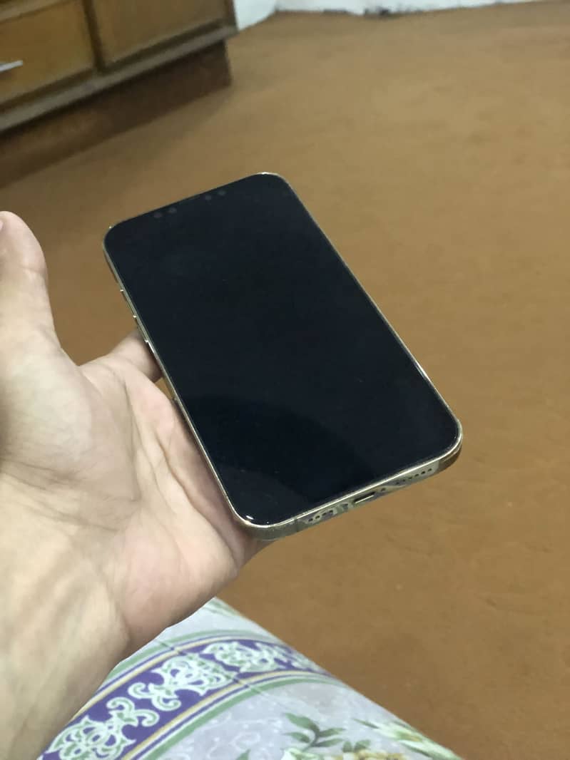 Apple iPhone 12 Pro Max 4