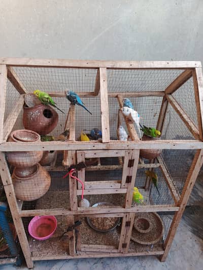 Breading Parrot Good