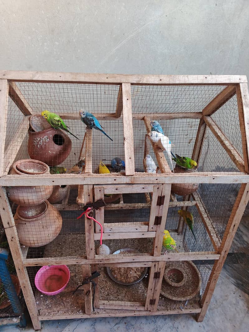 Breading Parrot Good 0