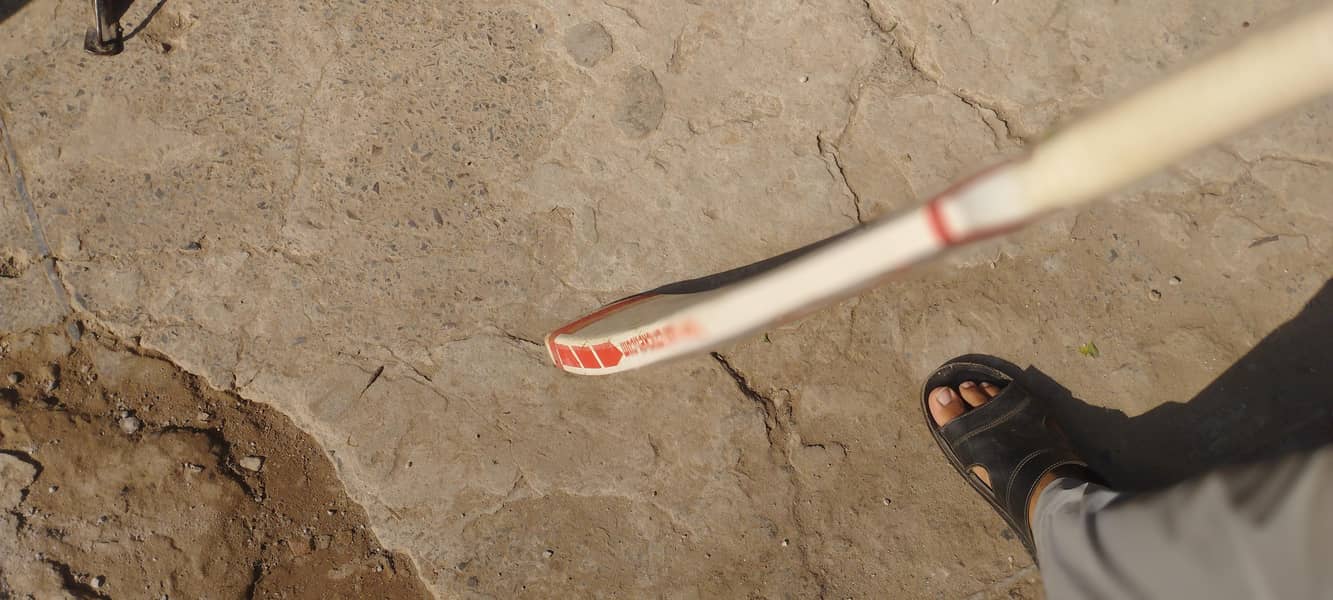 bat with cover 1
