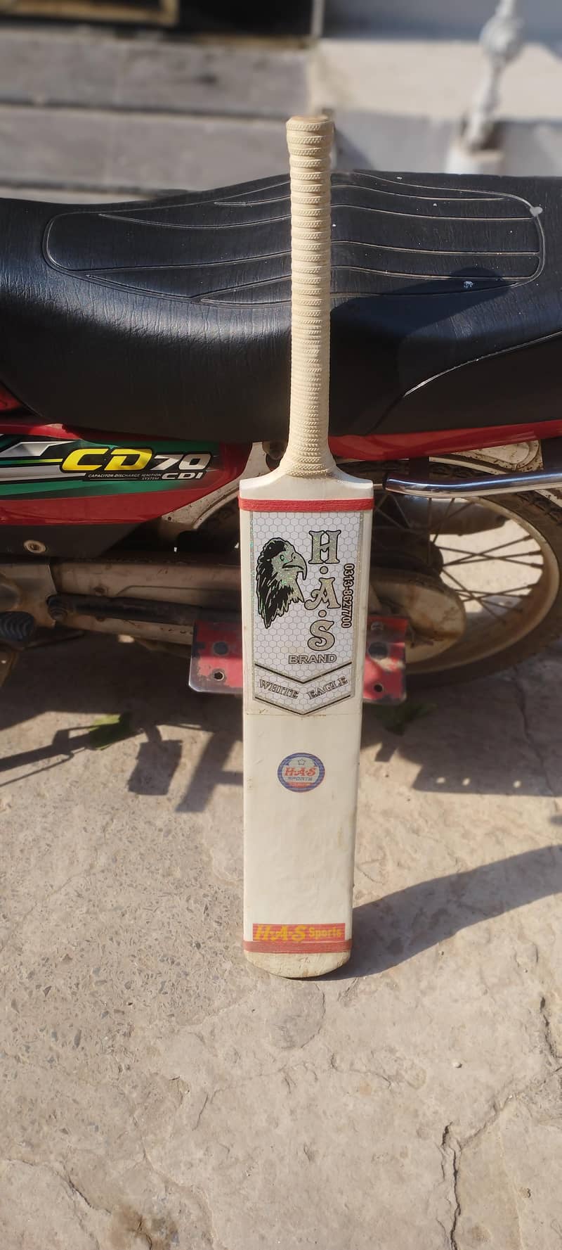 bat with cover 2