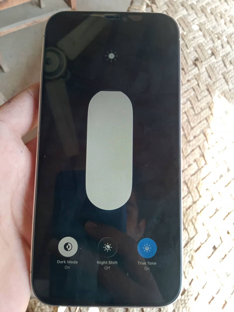 Apple iPhone 12 Pro Max 1