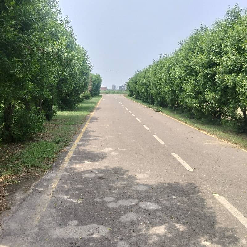 Corner+Facing Park Plot Available For Sale 5