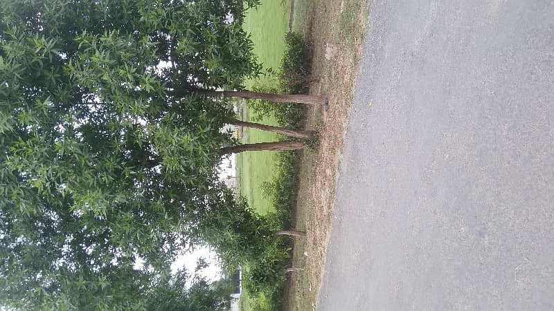Plot For Sale 4