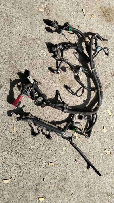 Honda Civic 1996 To 2000 Complete Engine room Wiring
