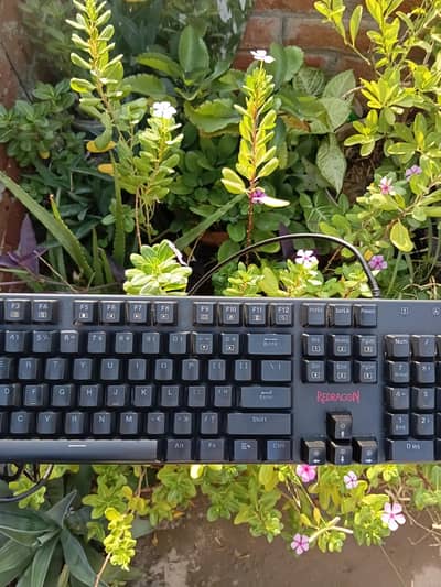 Exchange Possible | Redragon K589 RGB Gaming Wired Mechanical Keyboard