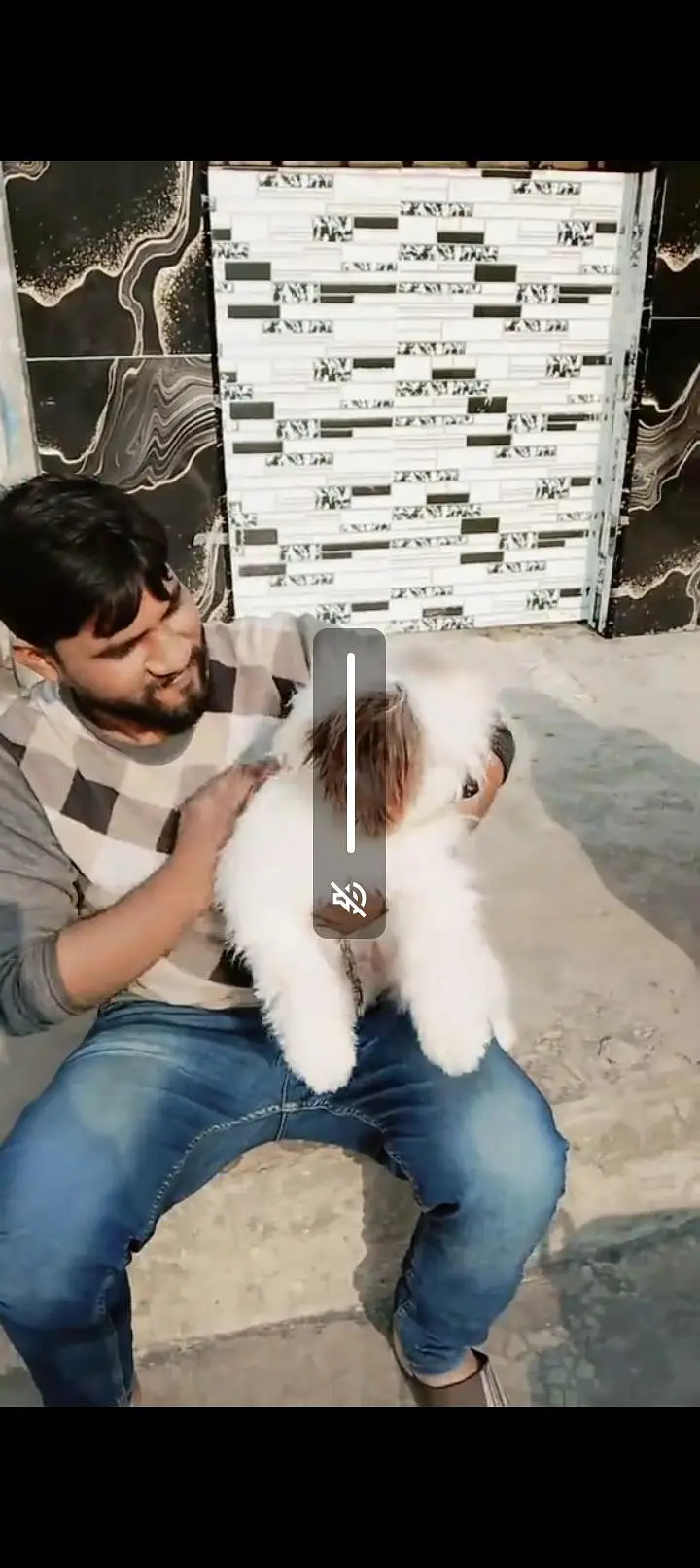 dog for sale — photo 3