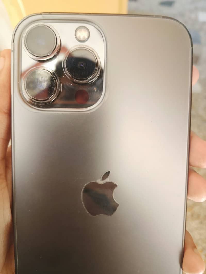 Apple iPhone 13 Pro Max 1