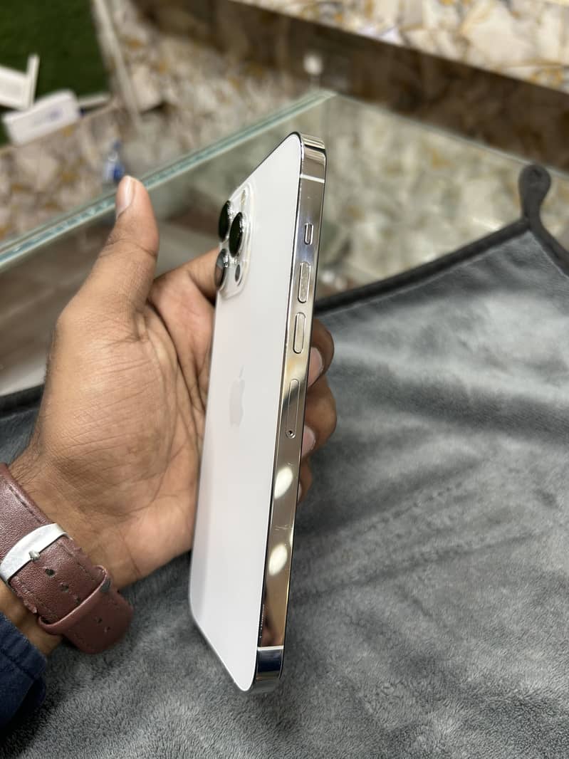 Apple iPhone 13 Pro Max 1