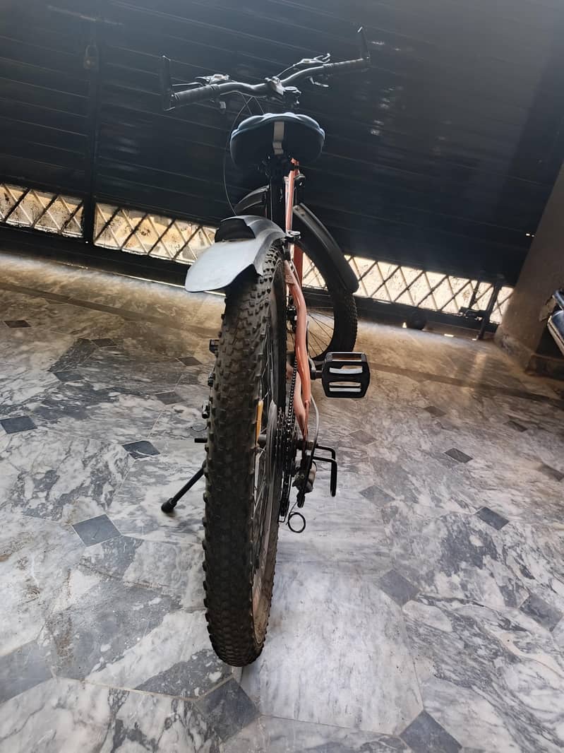 Gear Bicycle 3