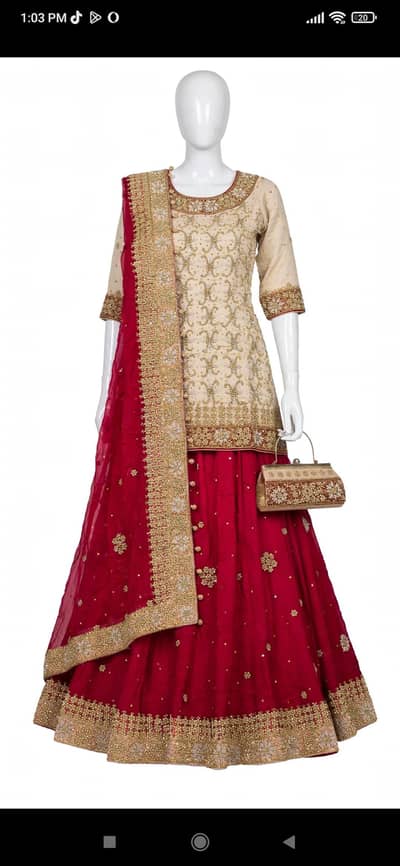 Bridal Lehenga choli with Dupatta + Matching clutch