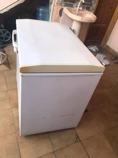medium size single door freezer for sale.