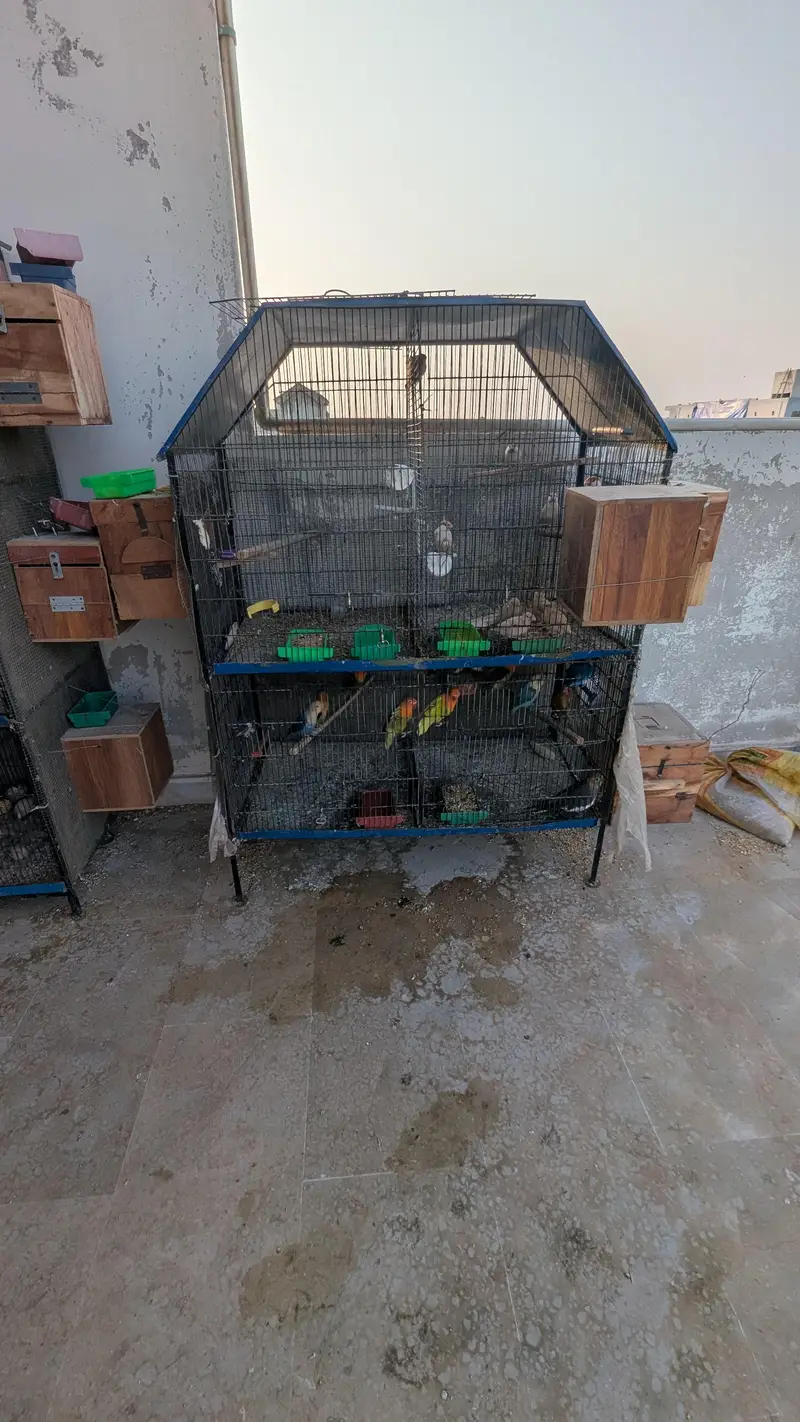 Angle Bird Cage for sale — photo 2