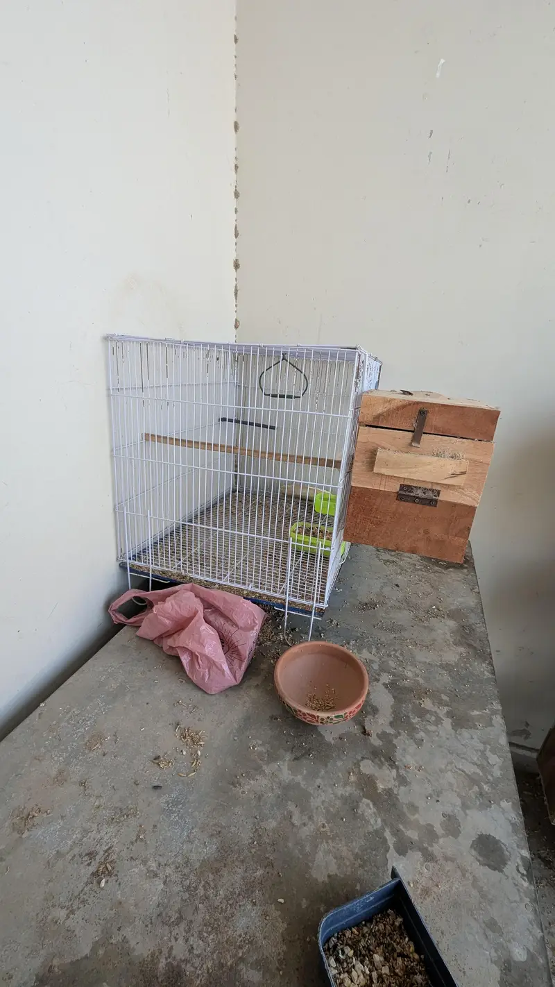 Angle Bird Cage for sale — photo 4