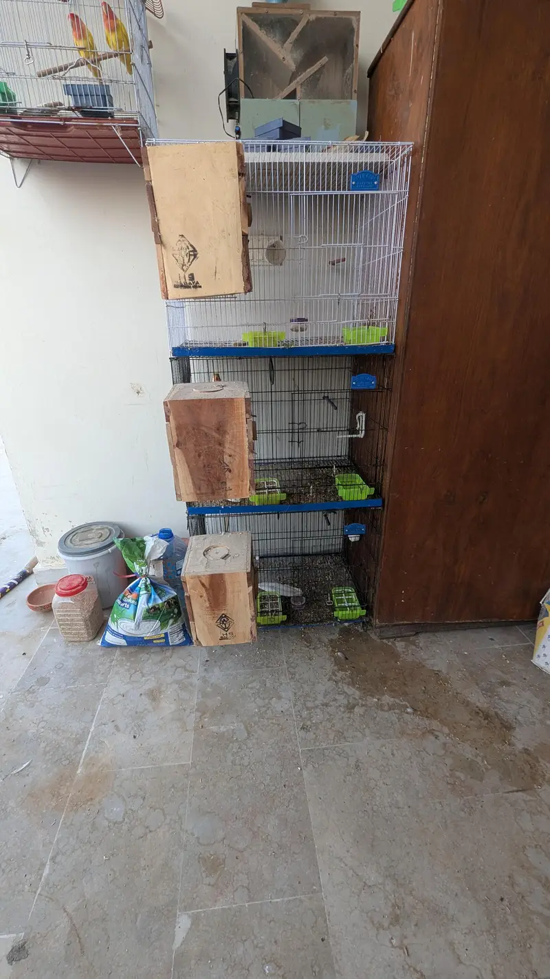 Angle Bird Cage for sale — photo 5