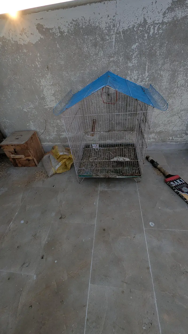 Angle Bird Cage for sale — photo 6