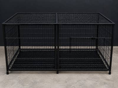 Cage 2/4  best Breeding For Raw parrot Maccow  Amazon  for Fency Cat