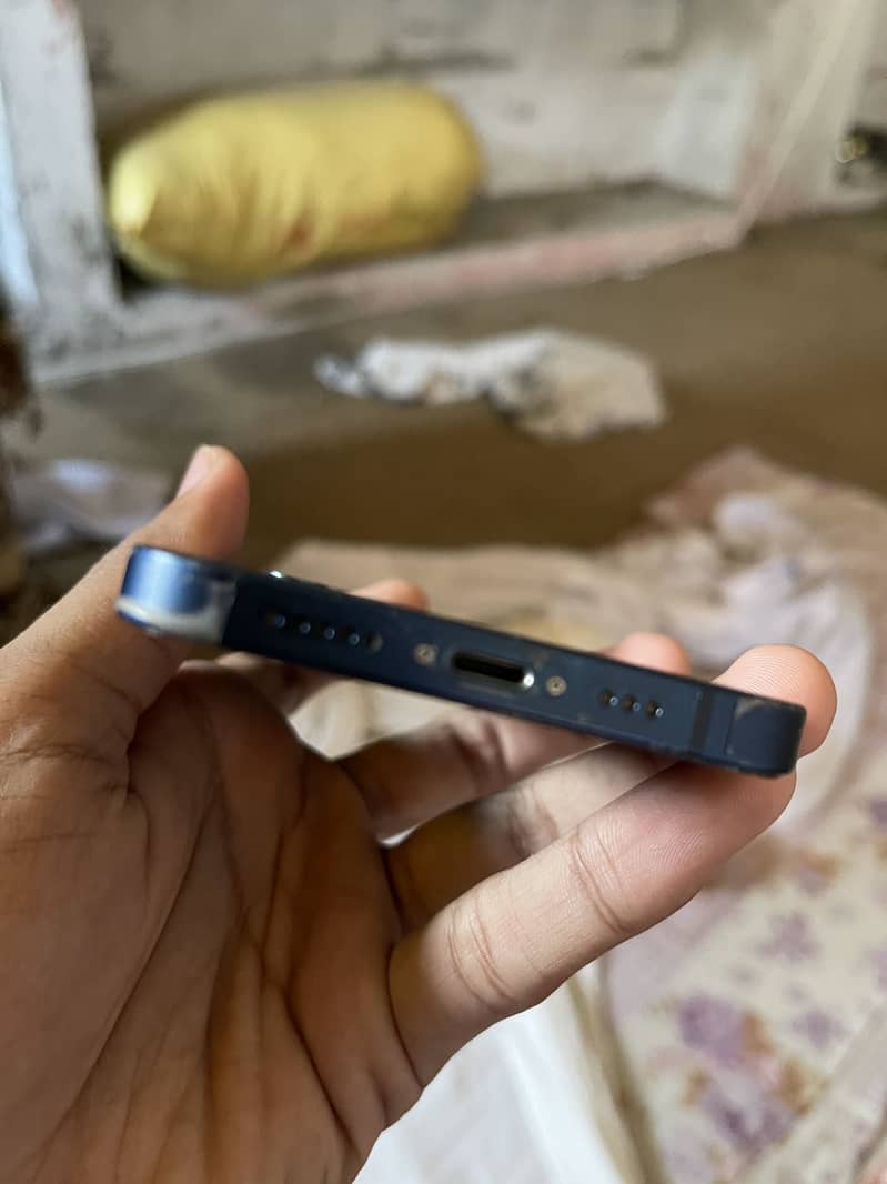 Apple iPhone 12 1