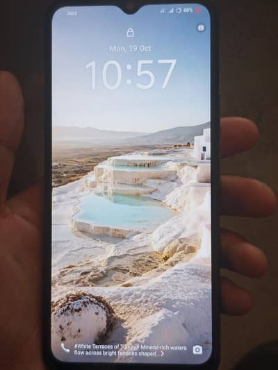 Vivo Y17