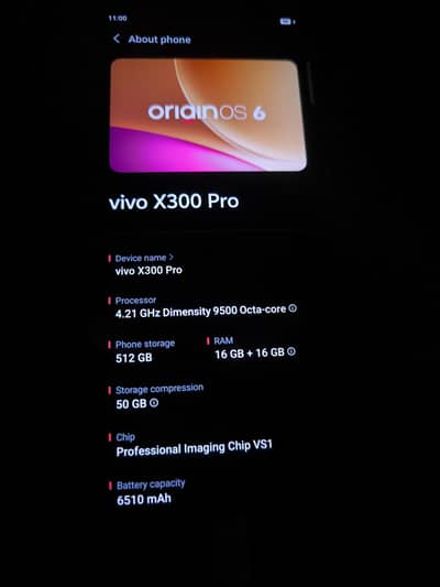Vivo X300 Pro