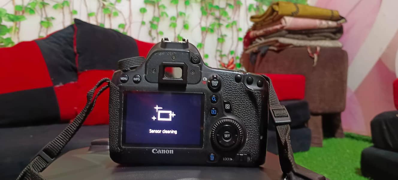 canon camera 6D full frame 0
