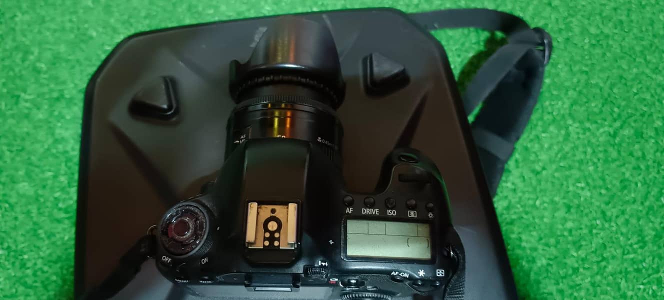 canon camera 6D full frame 6