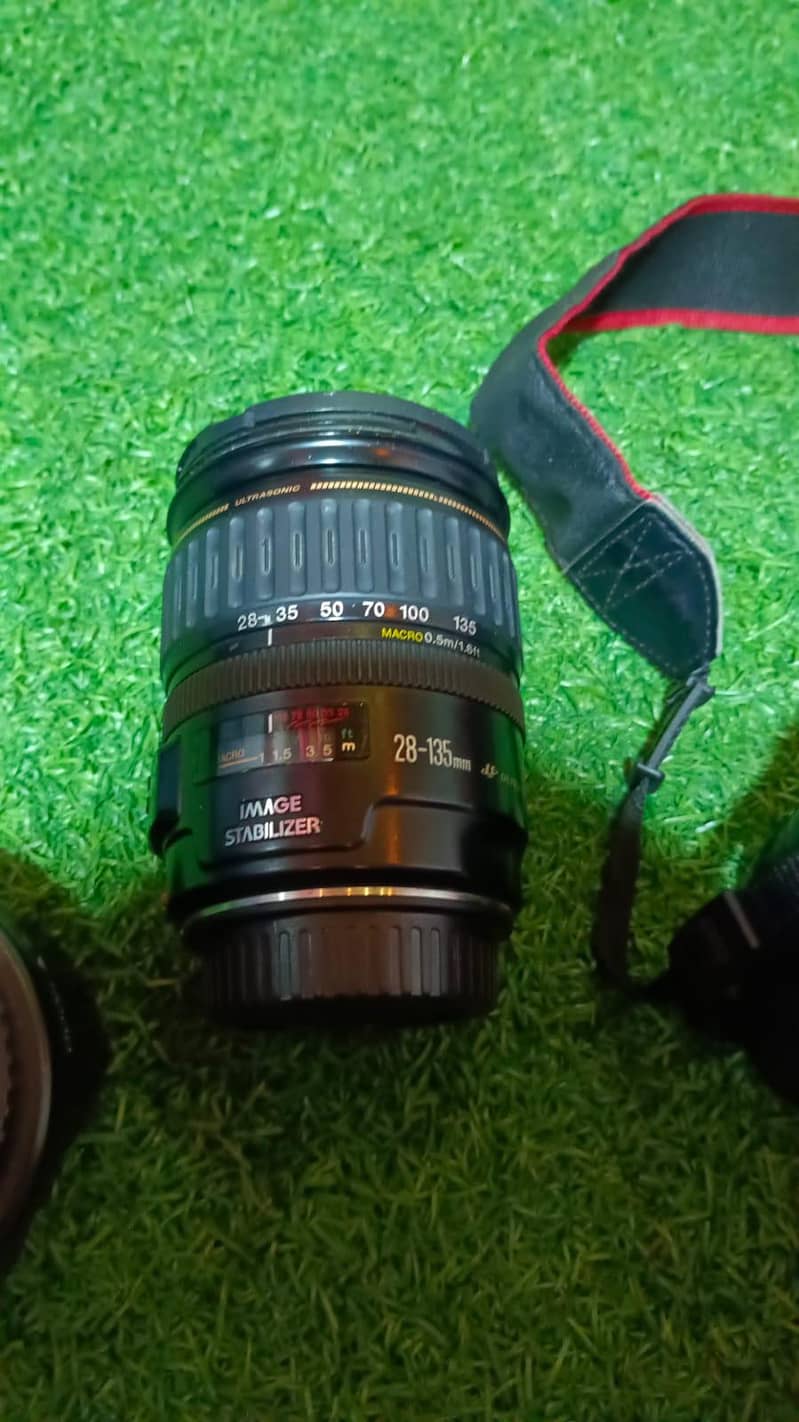 canon camera 6D full frame 11