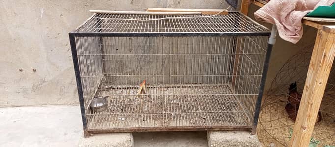 pinjra/cage