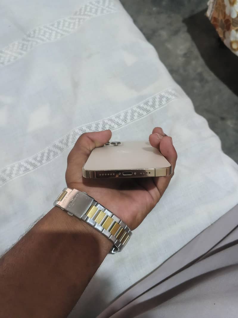 Apple iPhone 12 pro max 2