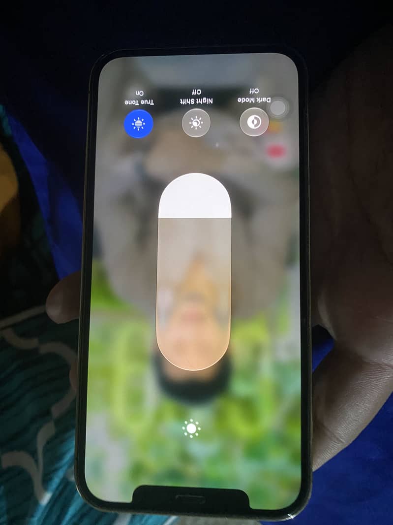Apple iPhone 12 Pro 2