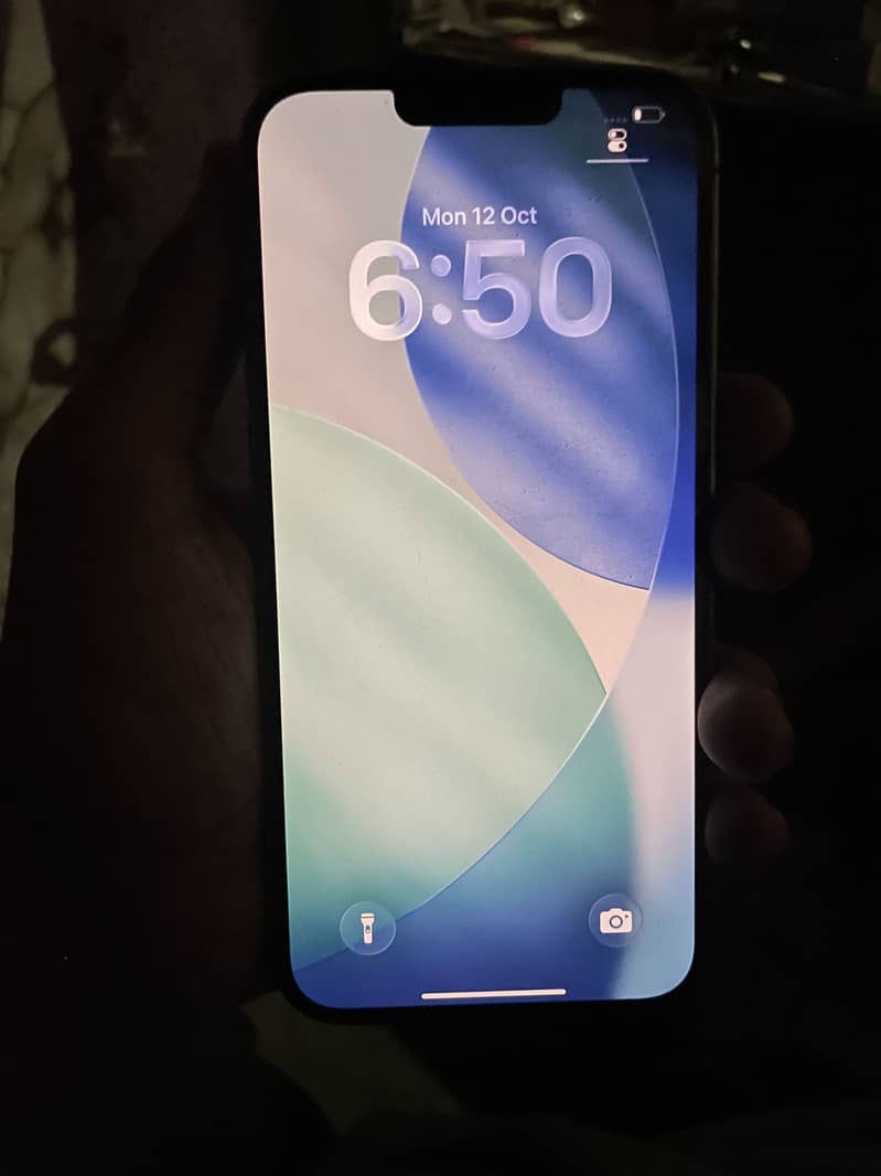Apple iPhone 13 Pro Max 1