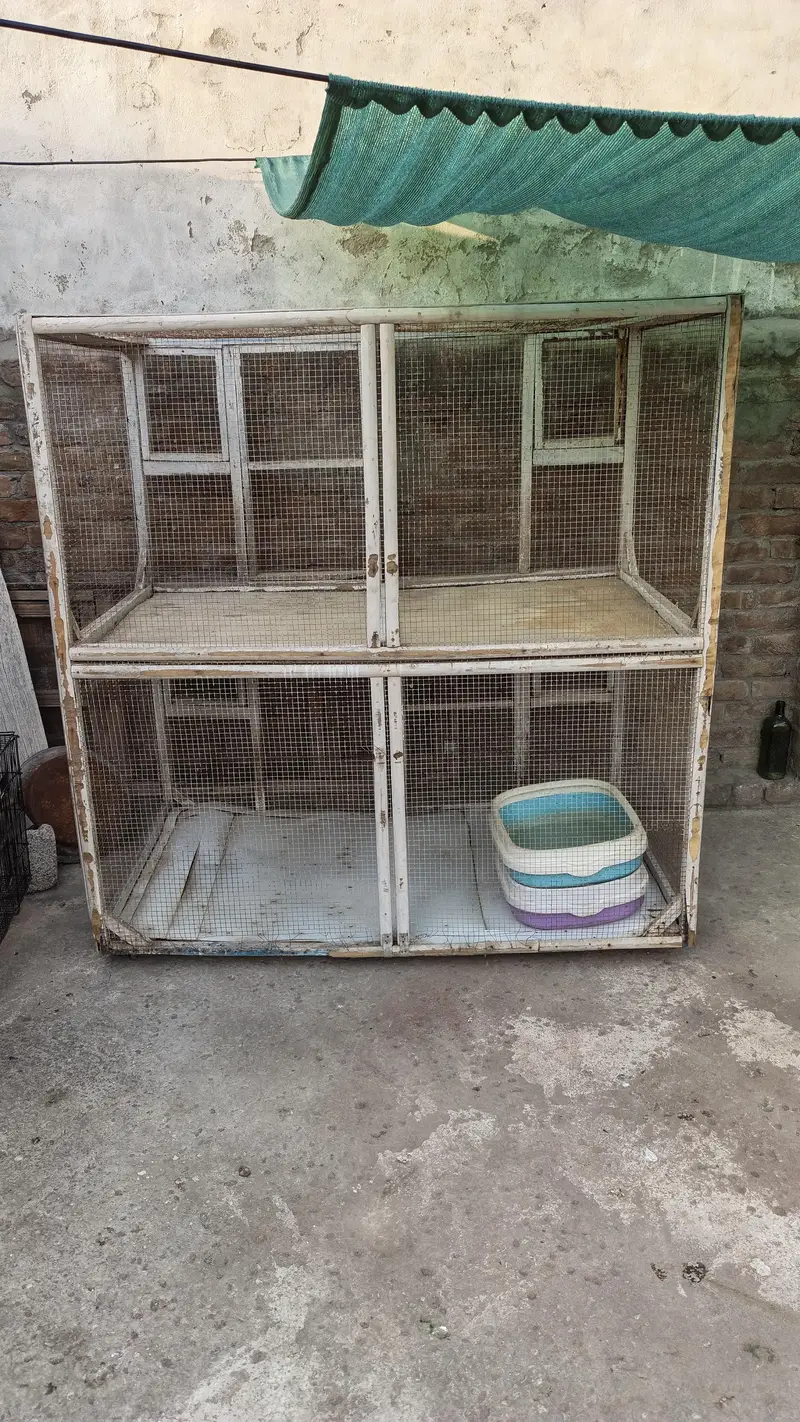 cage for sale — photo 3