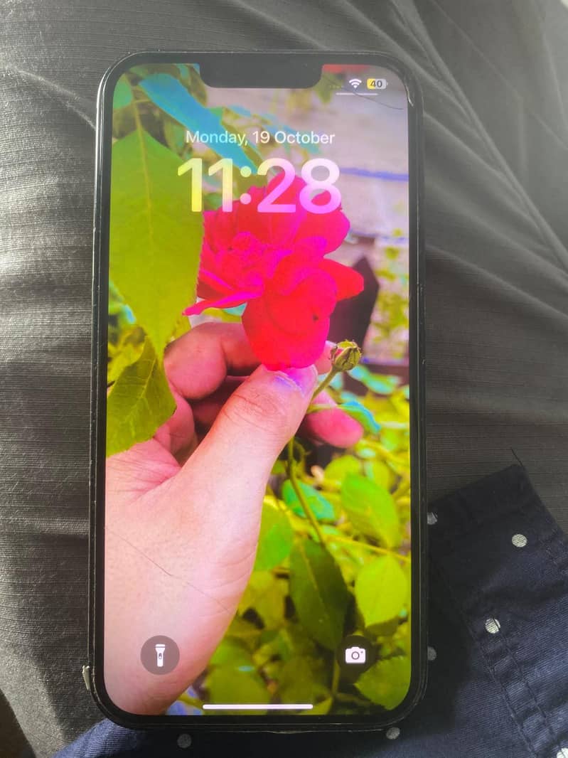 Apple iPhone 13 0