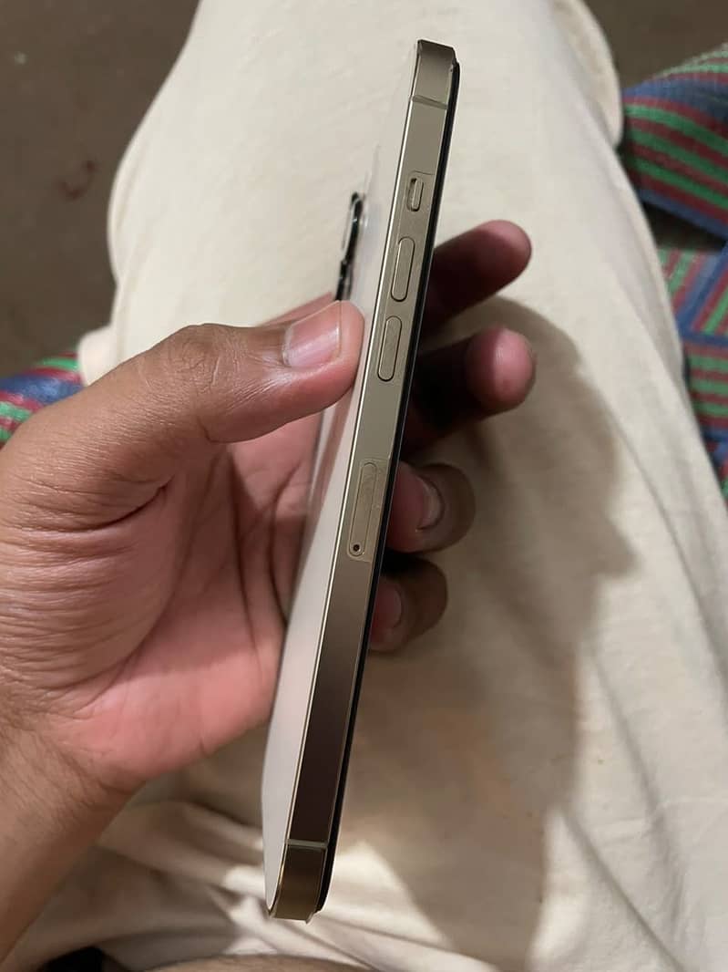 Apple iPhone 12 Pro Max 2