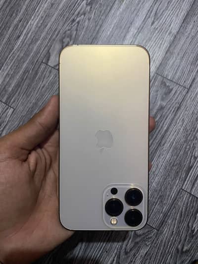 Apple iPhone 13 pro Max