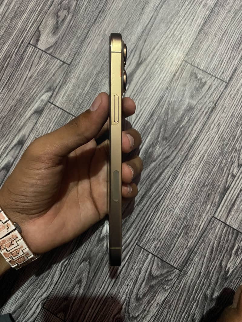 Apple iPhone 13 pro Max 2