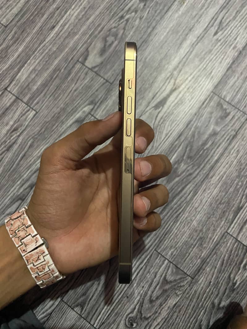 Apple iPhone 13 pro Max 3