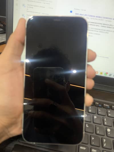 Apple iPhone 12 Pro Max